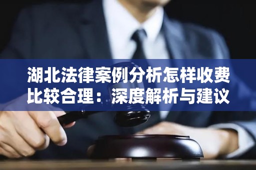 湖北法律案例分析怎样收费比较合理：深度解析与建议