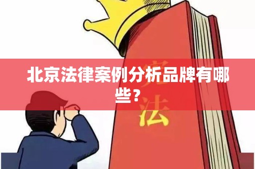 北京法律案例分析品牌有哪些？