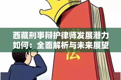 西藏刑事辩护律师发展潜力如何：全面解析与未来展望