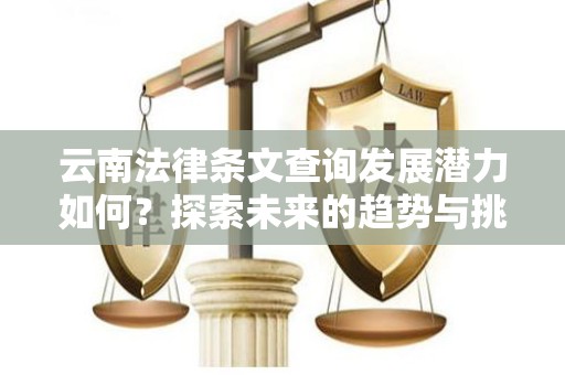 云南法律条文查询发展潜力如何？探索未来的趋势与挑战