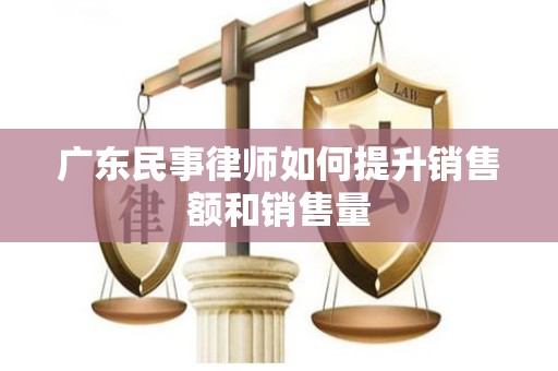 广东民事律师如何提升销售额和销售量