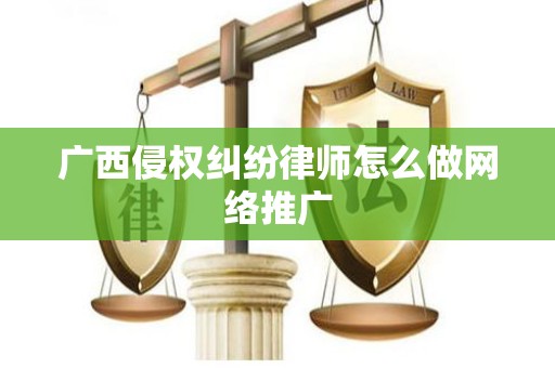 广西侵权纠纷律师怎么做网络推广