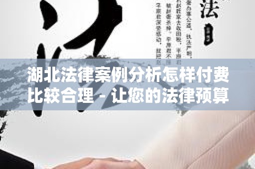 湖北法律案例分析怎样付费比较合理 - 让您的法律预算更具效益