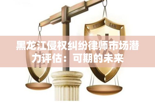 黑龙江侵权纠纷律师市场潜力评估：可期的未来