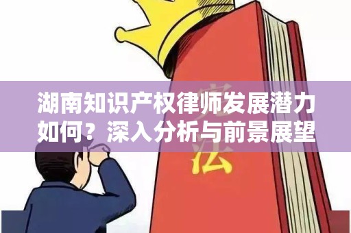 湖南知识产权律师发展潜力如何？深入分析与前景展望