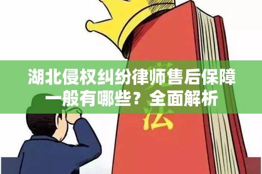 湖北侵权纠纷律师售后保障一般有哪些？全面解析