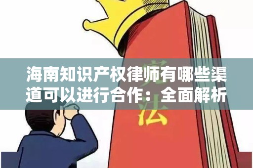海南知识产权律师有哪些渠道可以进行合作：全面解析合作途径与策略