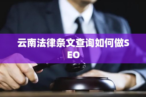 云南法律条文查询如何做SEO