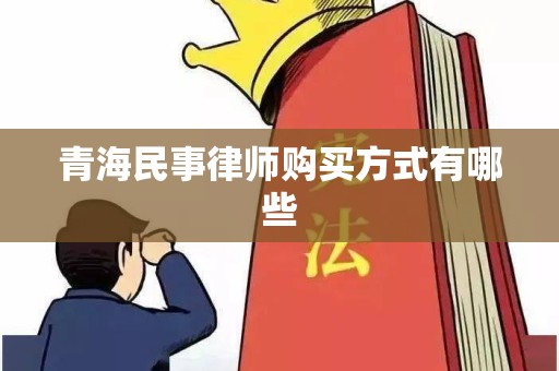 青海民事律师购买方式有哪些