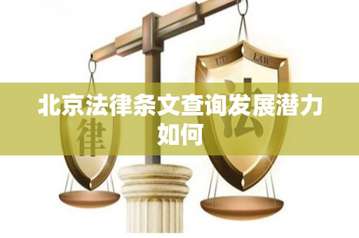 北京法律条文查询发展潜力如何