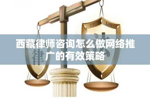 西藏律师咨询怎么做网络推广的有效策略